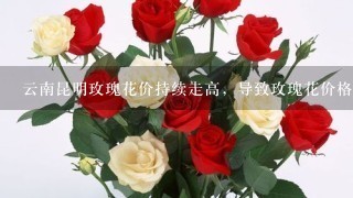 云南昆明玫瑰花价持续走高，导致玫瑰花价格上涨的原