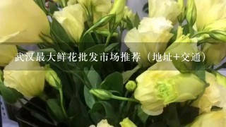 武汉最大鲜花批发市场推荐（地址+交通）
