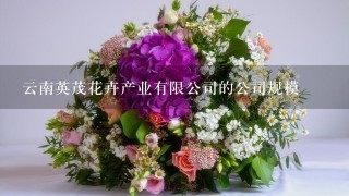 云南英茂花卉产业有限公司的公司规模