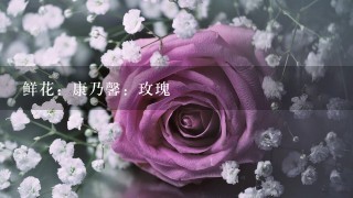 鲜花：康乃馨：玫瑰