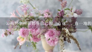 云南16个州市都有自己的“市花”，有一地的很特别