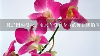 最近团购很火，南京有没有专业的鲜花团购网站，便宜点的，支持邮寄吗？
