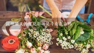 昆明最大的鲜花市场是斗南花市吗