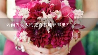 云南省最大的花卉基地在哪里？