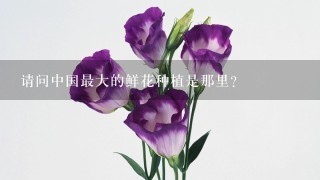 请问中国最大的鲜花种植是那里？