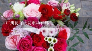 广州花卉批发市场在哪里