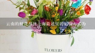 云南的鲜花用往上海最适宜的运输方式为