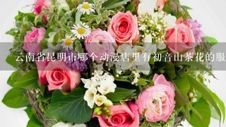 云南省昆明市哪个动漫店里有初音山茶花的服装··· 亲~急用！！！！！！！！！！！！
