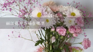 丽江花卉市场在哪里