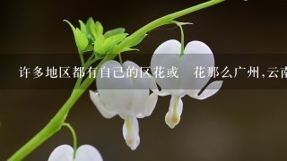 许多地区都有自己的区花或巿花那么广州,云南,成都,