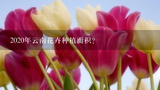 2020年云南花卉种植面积？