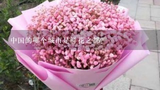 中国的哪个城市是鲜花之都？