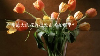 广州最大的花卉批发市场在哪里？