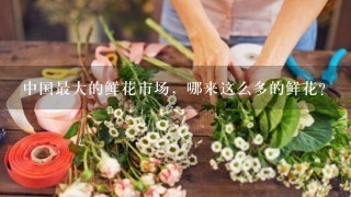中国最大的鲜花市场，哪来这么多的鲜花？