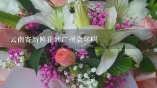 云南寄新鲜花到广州会坏吗