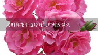 昆明鲜花中通冷链到广州要多久