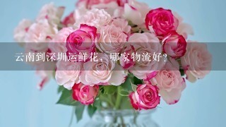 云南到深圳运鲜花，哪家物流好？