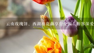 云南玫瑰饼、西湖桂花藕享誉全国，游客深爱的鲜花美