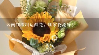 云南到深圳运鲜花，哪家物流好？