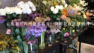 云南省红河州建水县开一间鲜花店能挣到钱吗？