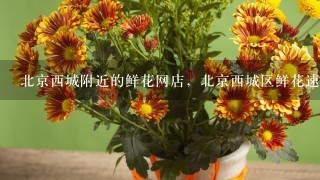 北京西城附近的鲜花网店，北京西城区鲜花速递，推荐个靠谱的北京西城附近的鲜花网店