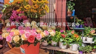 我在北京,想往河北白沟邮鲜花怎么办