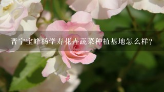晋宁宝峰杨学寿花卉蔬菜种植基地怎么样？