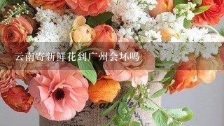 云南寄新鲜花到广州会坏吗