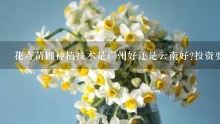 花卉苗圃种植技术是广州好还是云南好?投资要多少??