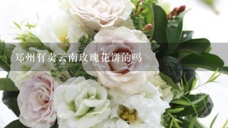 郑州有卖云南玫瑰花饼的吗