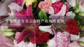 常熟哪里有卖云南特产玫瑰鲜花饼
