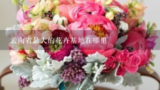 云南省最大的花卉基地在哪里