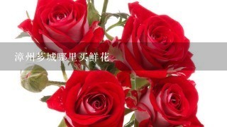 漳州芗城哪里买鲜花