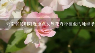 云南省昆明附近重点发展花卉种植业的地理条件