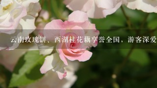 云南玫瑰饼、西湖桂花藕享誉全国，游客深爱的鲜花美食还有哪些？