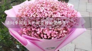 请问中国最大的鲜花种植是那里？
