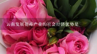 云南发展花卉产业的社会经济优势是