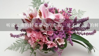 听说云南的鲜花是论斤卖的，是不是云南的鲜花产量很大啊?在全国来说占多大的比重?