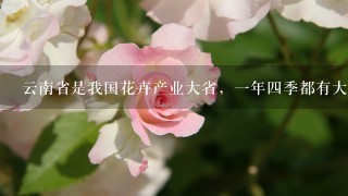 云南省是我国花卉产业大省，1年4季都有大量鲜花销往全国各地，花卉产业已成为我省许多地区经济发展的重