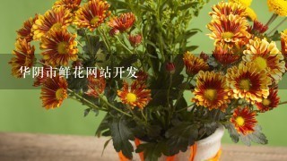 华阴市鲜花网站开发