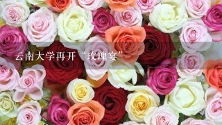 云南大学再开“玫瑰宴”
