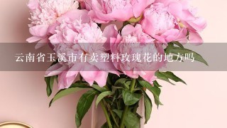 云南省玉溪市有卖塑料玫瑰花的地方吗