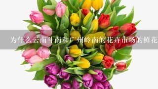 为什么云南斗南和广州岭南的花卉市场的鲜花交易要在凌晨两点到早上78点？