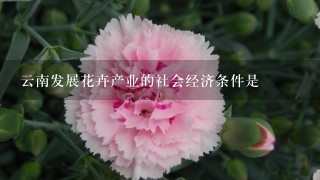 云南发展花卉产业的社会经济条件是