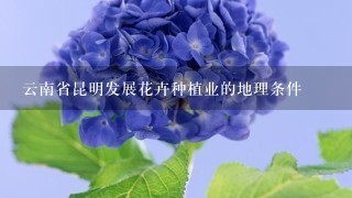 云南省昆明发展花卉种植业的地理条件
