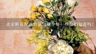 北京鲜花配送的话用哪个好1些你们知道吗？