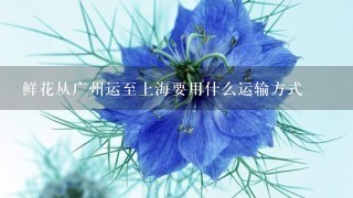 鲜花从广州运至上海要用什么运输方式