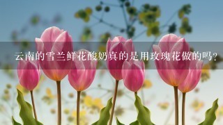 云南的雪兰鲜花酸奶真的是用玫瑰花做的吗？