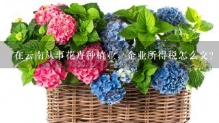 在云南从事花卉种植业，企业所得税怎么交？