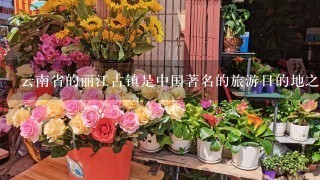 云南省的丽江古镇是中国著名的旅游目的地之1。那里的生活节奏比大多数中国城市都 要缓慢。丽江到处都是美丽的自然风光...